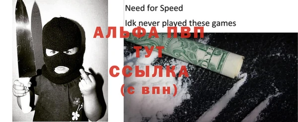 эйфоретик Баксан