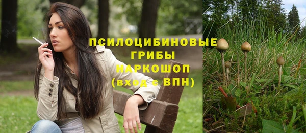 эйфоретик Баксан
