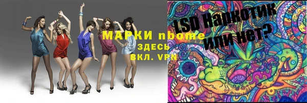 эйфоретик Баксан