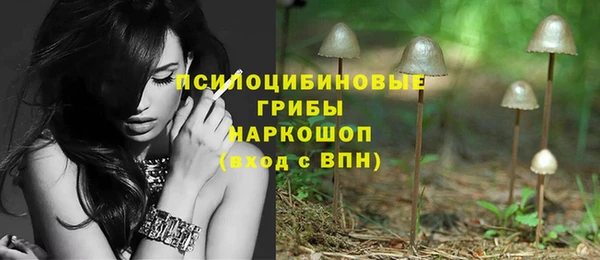 эйфоретик Баксан