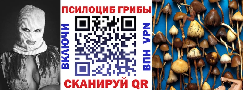 сколько стоит  Гаджиево  Галлюциногенные грибы Psilocybe 